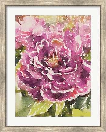 Framed Purple Blossoms Print
