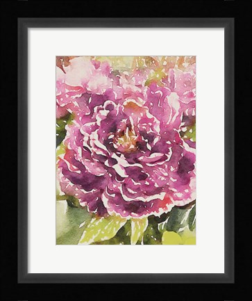 Framed Purple Blossoms Print