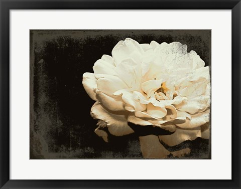 Framed Blooming Elegance Print