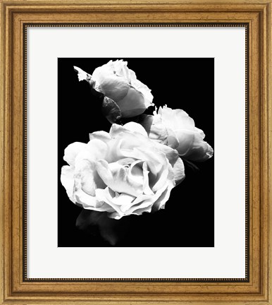 Framed Dramatic Love Blooms  I Print