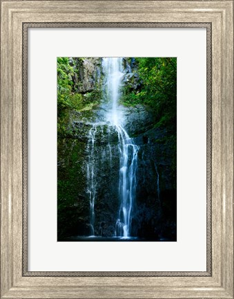 Framed Natural Rain Forest Print
