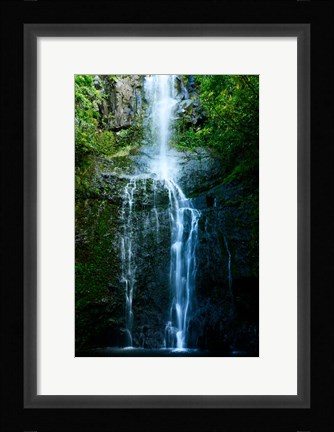 Framed Natural Rain Forest Print