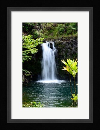 Framed Hide Aways Print