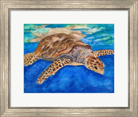 Framed Turtle at Sea Print