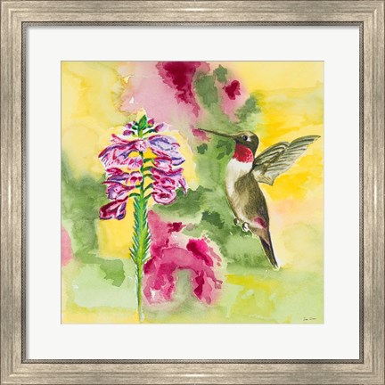 Framed Watercolor Hummingbird Print