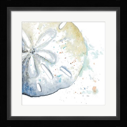 Framed Water Sand Dollar Print