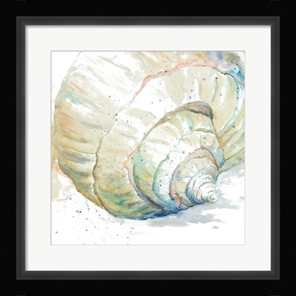 Framed Water Conch Print