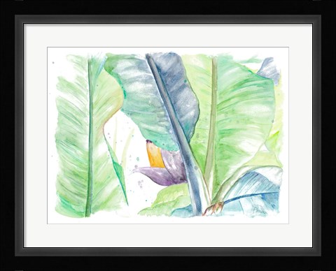 Framed Fresh Banana Plantain Print