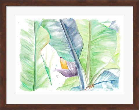 Framed Fresh Banana Plantain Print