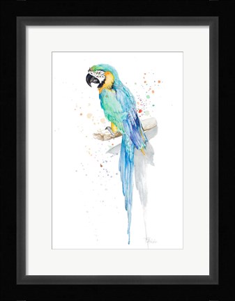 Framed Watercolor Parrot Print