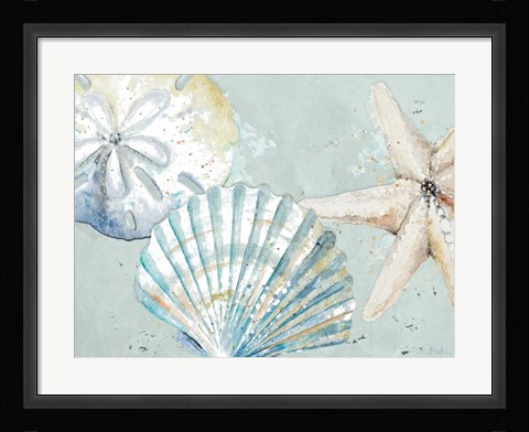 Framed Beach Shells Print