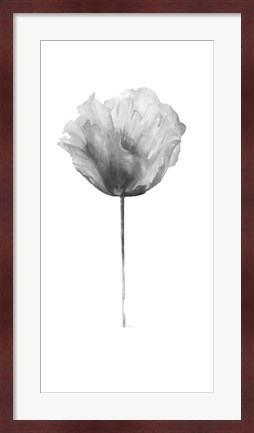 Framed Flower in Gray Panel II Print