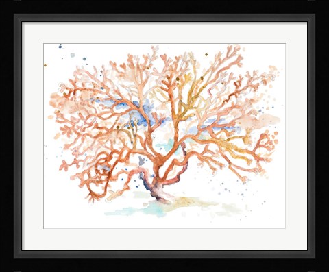 Framed Peach Coral Print