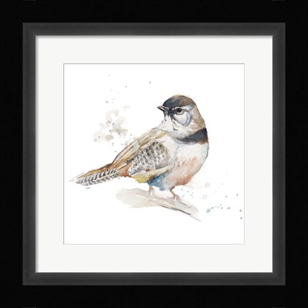 Framed Watercolor Mountain Bird III Print