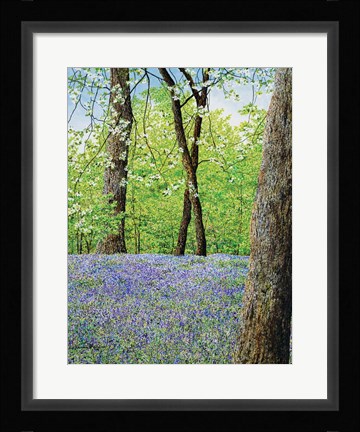Framed Blue Bells Print