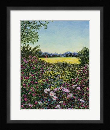 Framed Along The Meadows Edge Print
