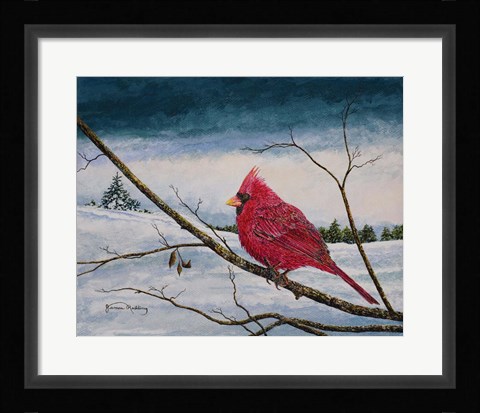 Framed Cardinal In A Pastel Sky Print