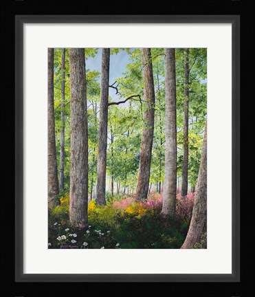 Framed Enchanted Forest Print