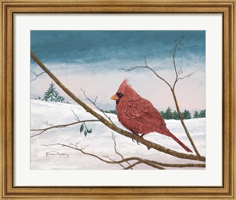 Framed Auburn Cardinal Print
