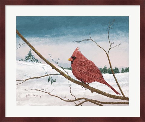 Framed Auburn Cardinal Print