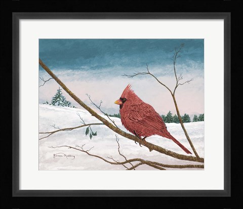 Framed Auburn Cardinal Print