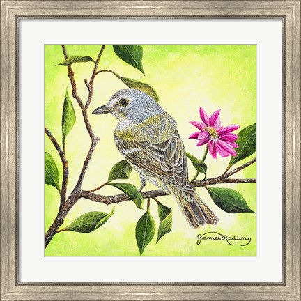 Framed Tropical Bird Print