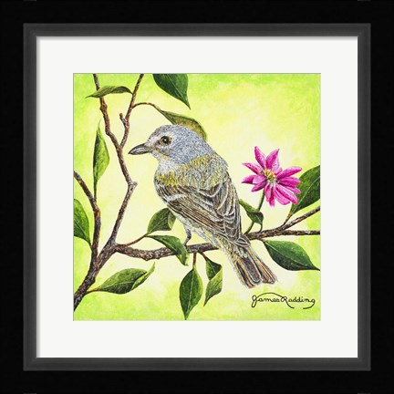 Framed Tropical Bird Print