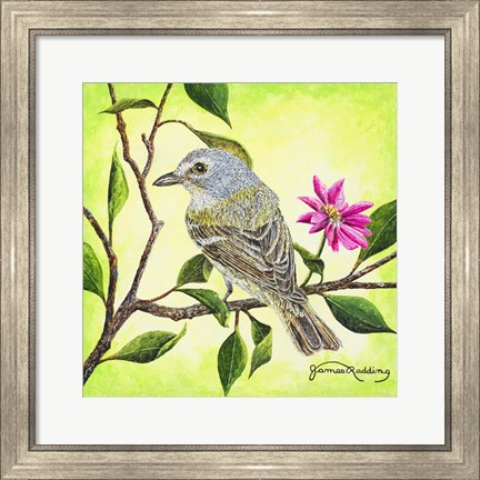 Framed Tropical Bird Print
