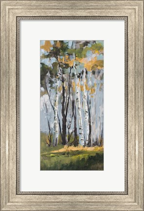 Framed Golden Birch Trees Print