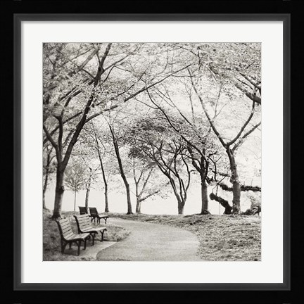 Framed Virginia Park Walk Print