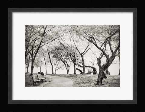 Framed Path Walk Print