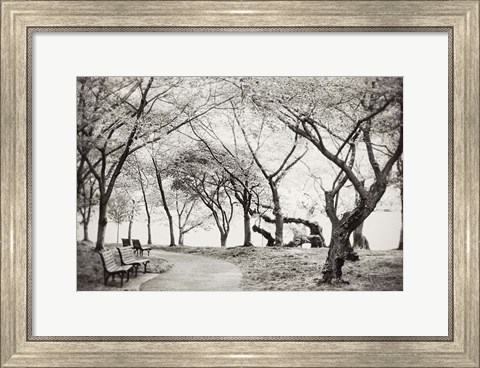 Framed Path Walk Print