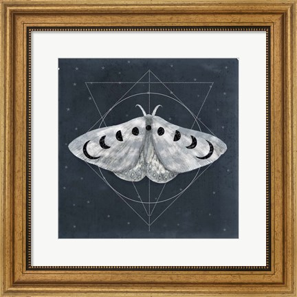 Framed Midnight Moth II Print