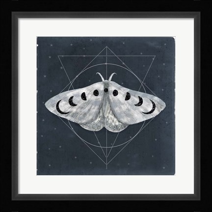 Framed Midnight Moth II Print