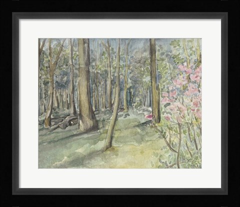 Framed Virginia Woods I Print