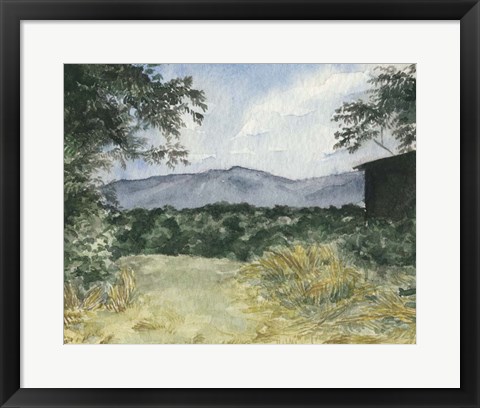 Framed Virginia Woods III Print