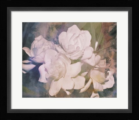 Framed Blush Gardenia Beauty I Print
