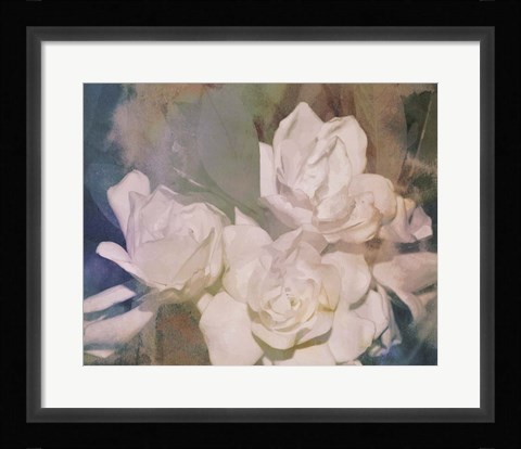 Framed Blush Gardenia Beauty II Print