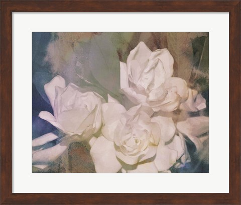 Framed Blush Gardenia Beauty II Print