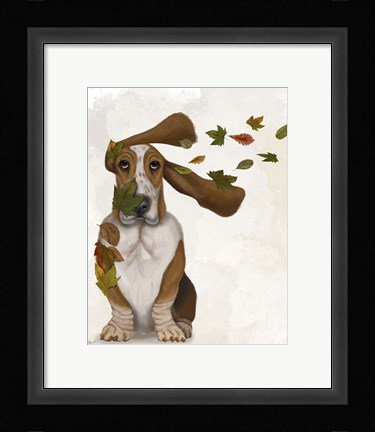 Framed Basset Hound Windswept and Interesting Print