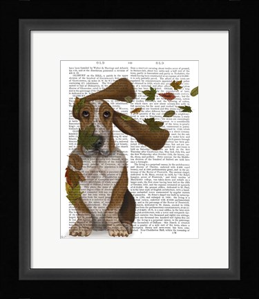 Framed Basset Hound Windswept and Interesting Print