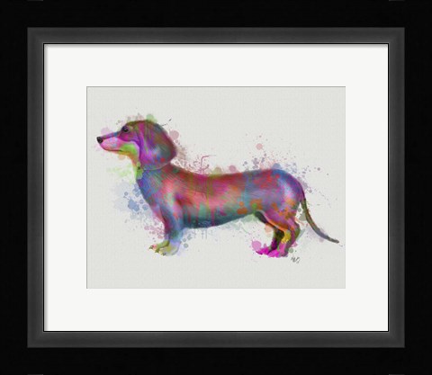 Framed Dachshund Rainbow Splash 1 Print