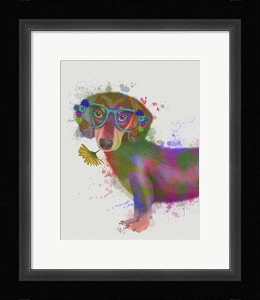 Framed Dachshund And Glasses Rainbow Splash Print