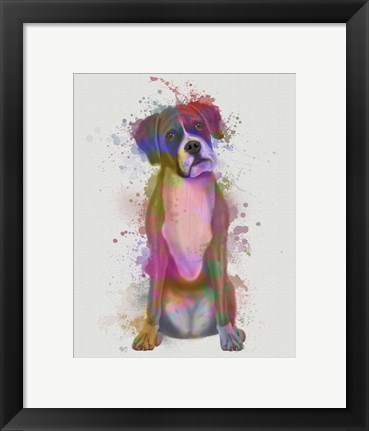 Framed Boxer 1 Full Rainbow Splash Print