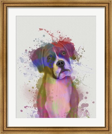 Framed Boxer 1 Portrait Rainbow Splash Print