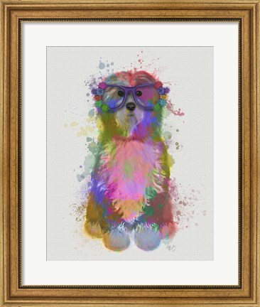 Framed Tibetan Terrier Rainbow Splash Print