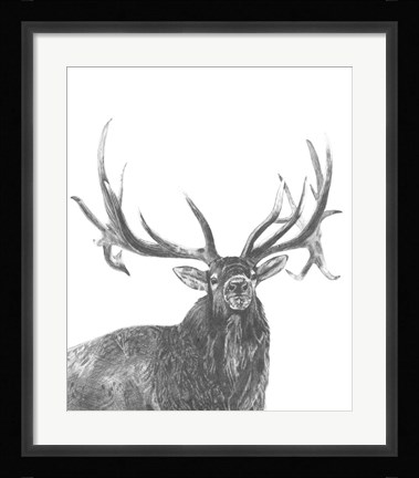 Framed Wildlife Snapshot: Elk Print