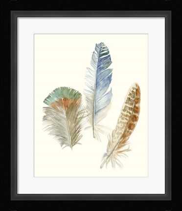 Framed Watercolor Feathers III Print