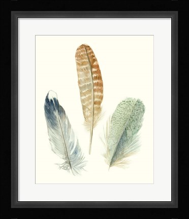 Framed Watercolor Feathers IV Print