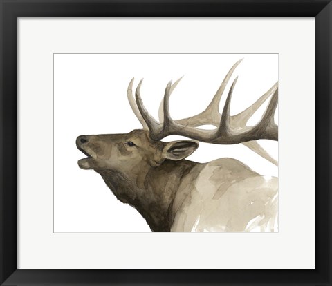 Framed Call of the Elk II Print